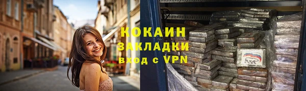 шишки Горнозаводск