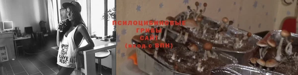 шишки Горнозаводск